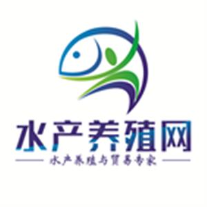 南京网络科技公司大全 互联网大数据 异合信息科技网