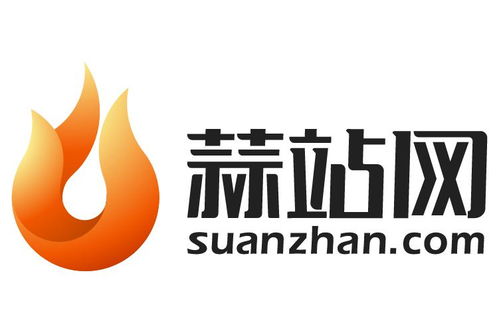 四川蒜站网络科技 引领科技创新与数字化转型