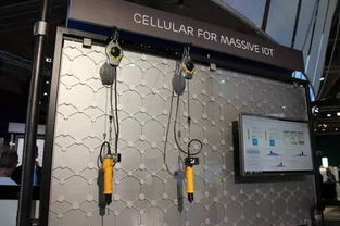 大咖携手，开辟数字新天地 网络科技的创新与展望